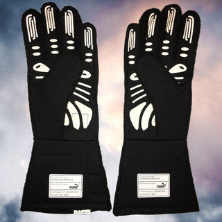 2021 Lewis Hamilton Mercedes Gloves - Rustle Racewears