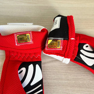 Scuderia Ferrari Charles Leclerc F1 PRO gloves - Joshua Vides